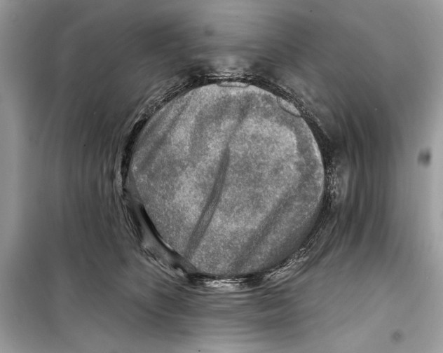 X0000098170516200805221518