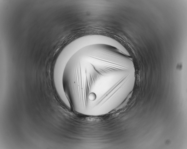 X0000098170520200805221518