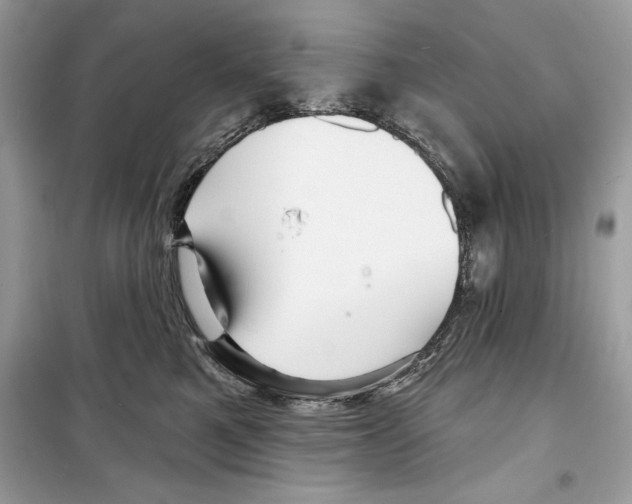 X0000098170521200805221518