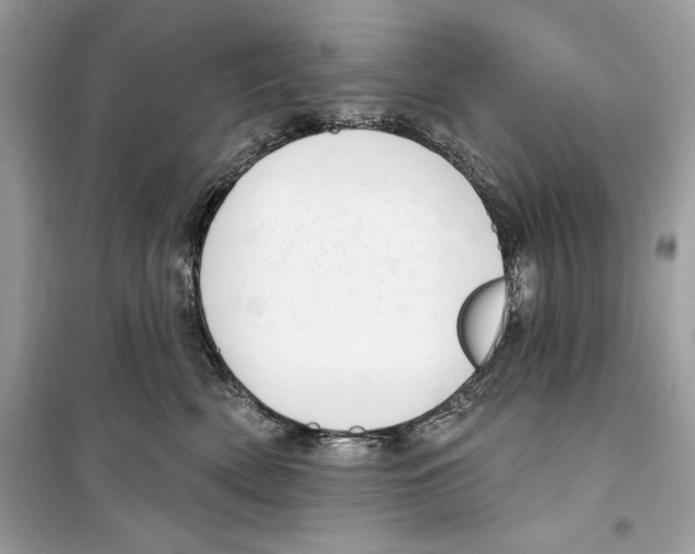 X0000098170522200805221518