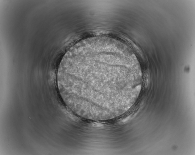 X0000098170523200805221518