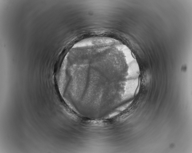 X0000098170524200805221518