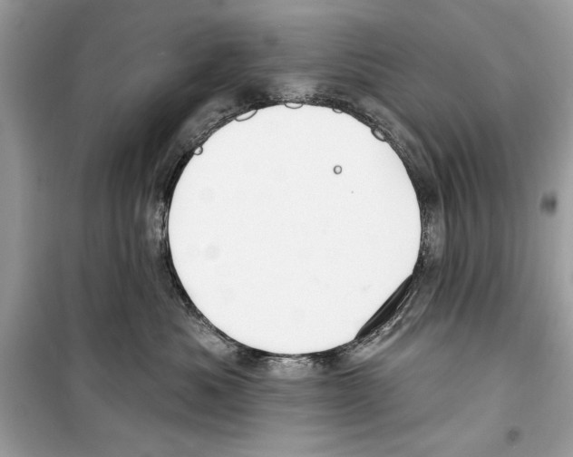 X0000098170525200805221518