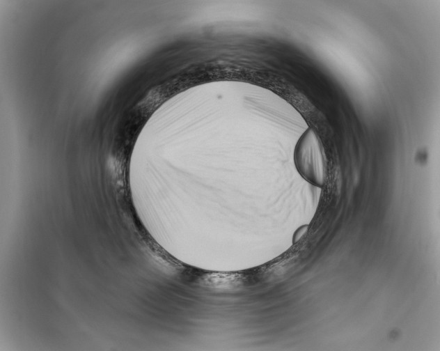 X0000098170526200805221518