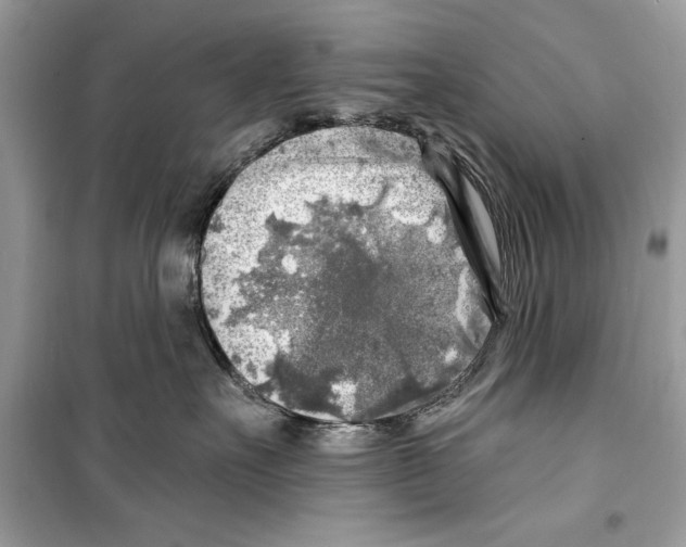 X0000098170527200805221518