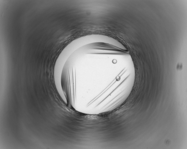 X0000098170528200805221518