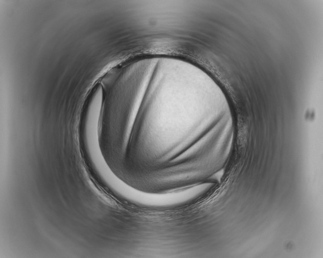 X0000098170530200805221517