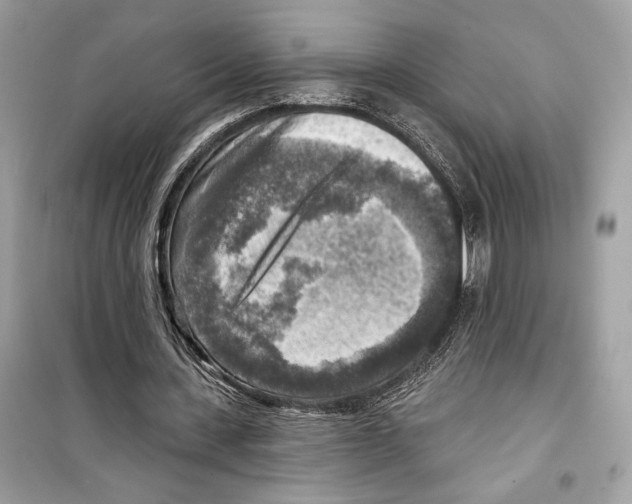 X0000098170531200805221517