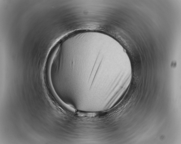 X0000098170532200805221517