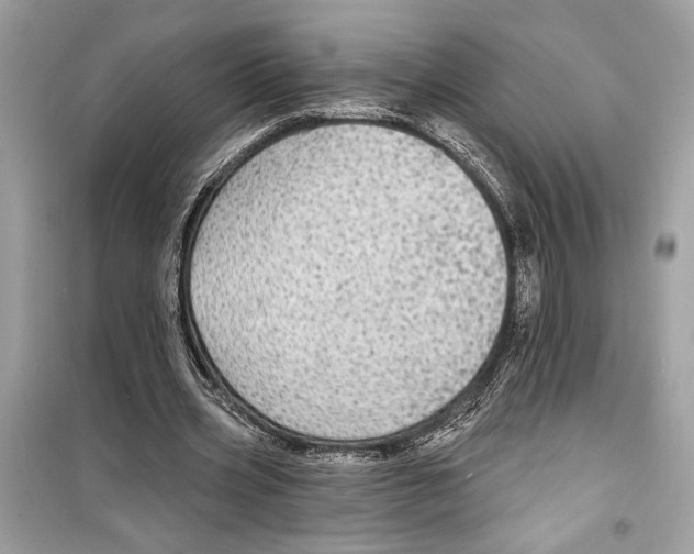 X0000098170533200805221517