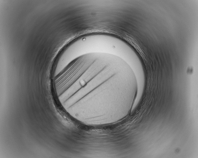 X0000098170534200805221517