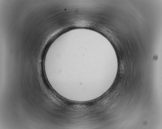 X0000098170535200805221517