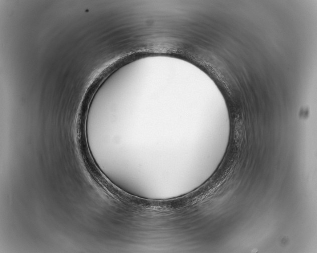 X0000098170536200805221517