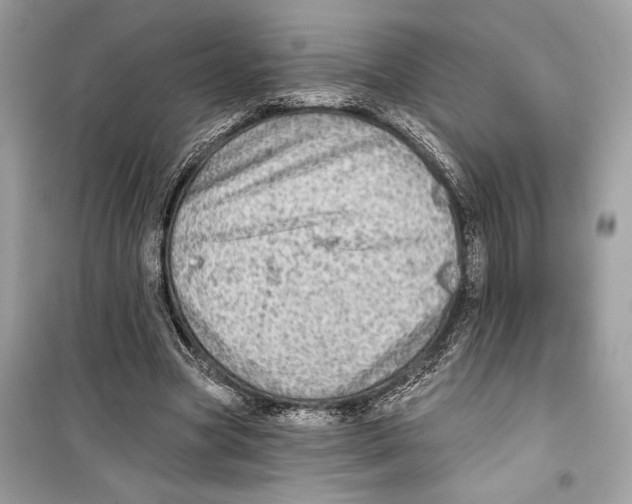 X0000098170537200805221517