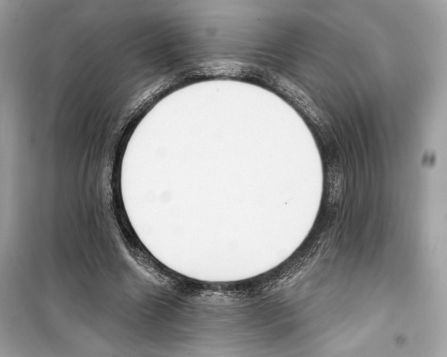 X0000098170538200805221517