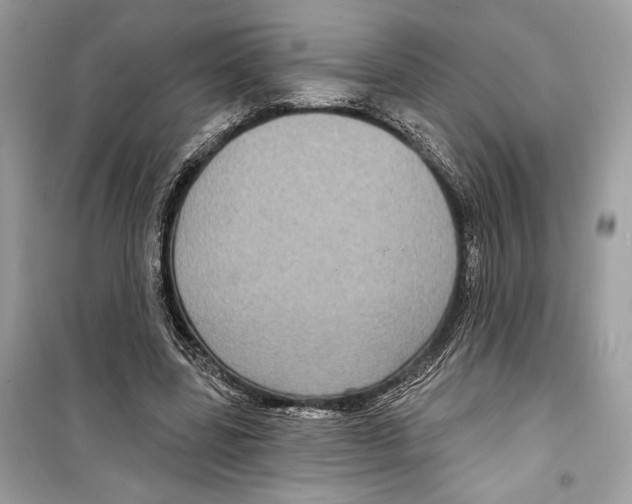 X0000098170539200805221517