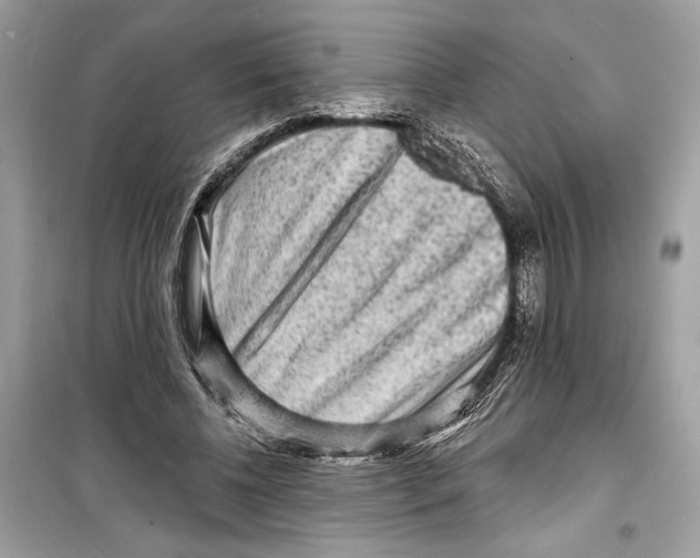 X0000098170540200805221517