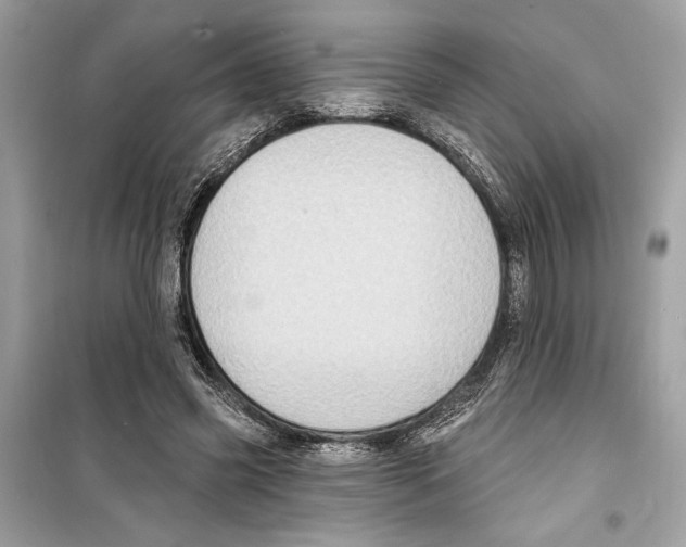 X0000098170541200805221517