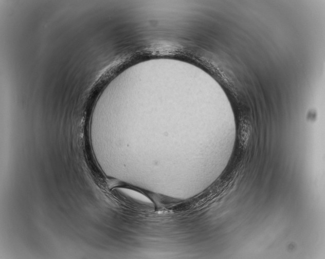 X0000098170543200805221517