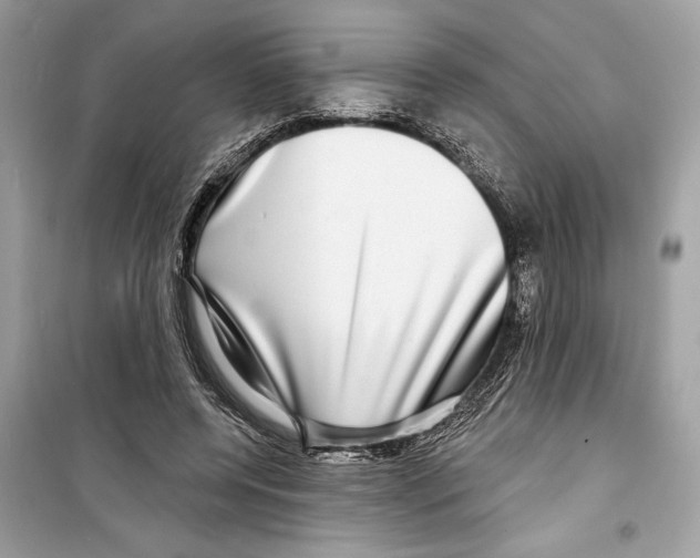 X0000098170544200805221517