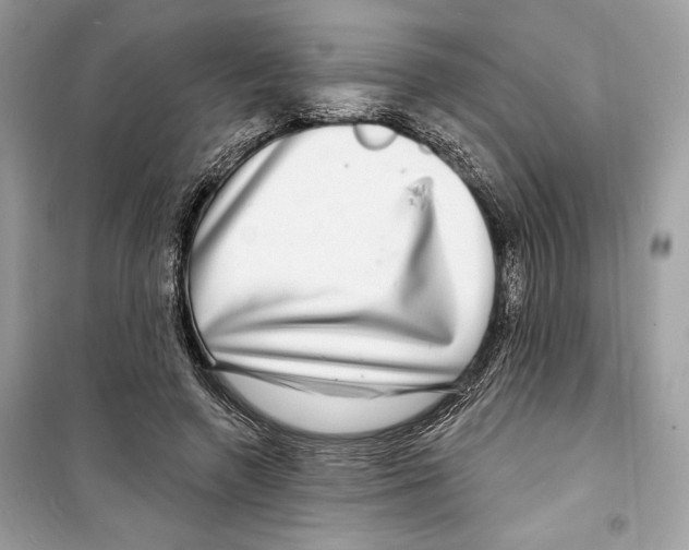 X0000098170546200805221517