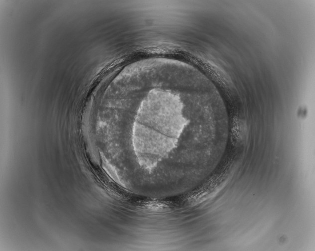 X0000098170547200805221517