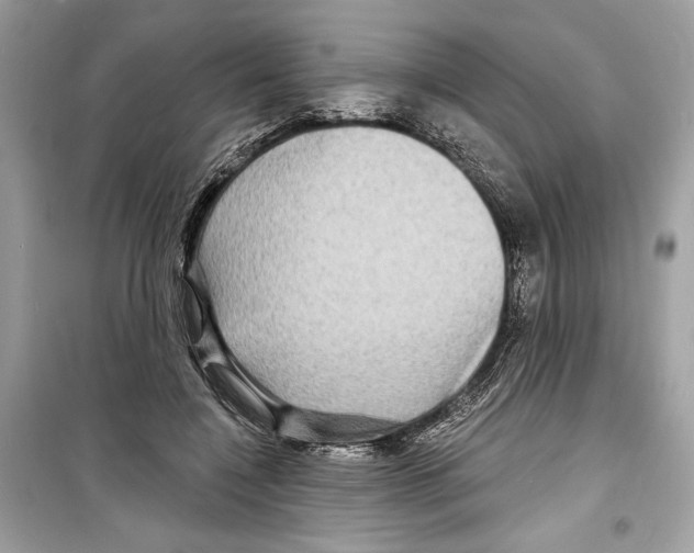 X0000098170548200805221517