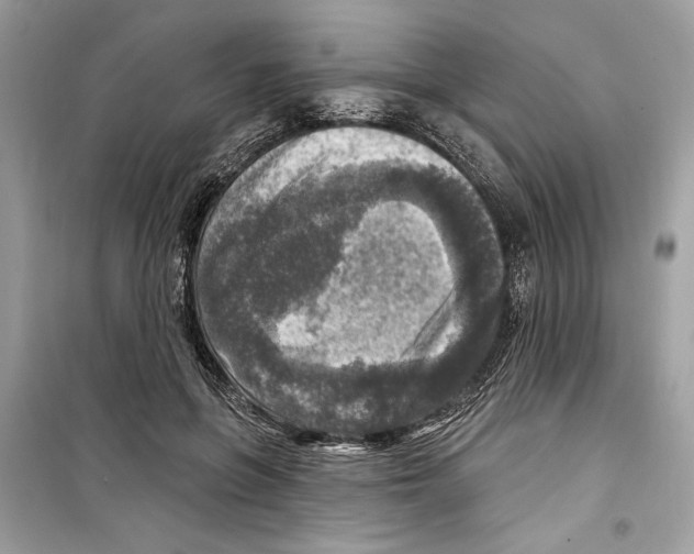 X0000098170551200805221517