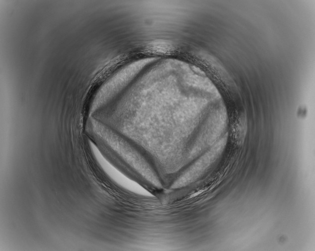 X0000098170552200805221517