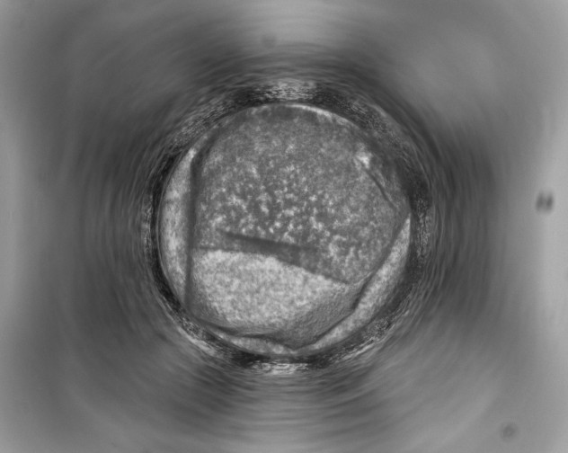 X0000098170553200805221517