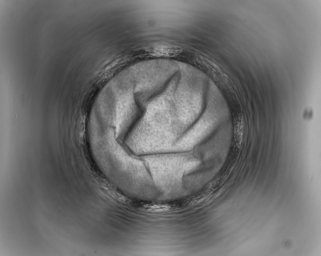 X0000098170554200805221517