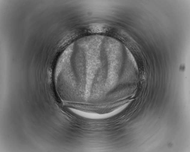 X0000098170556200805221517