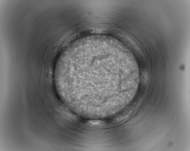 X0000098170557200805221517