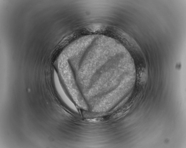 X0000098170558200805221517