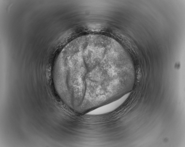 X0000098170559200805221517