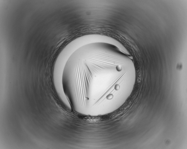 X0000098170560200805221517