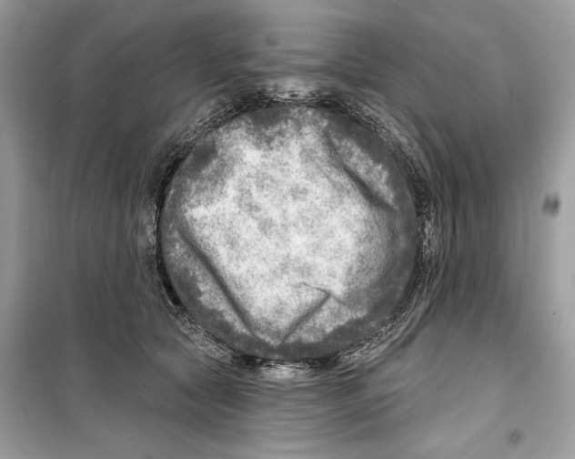 X0000098170561200805221517