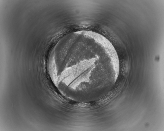 X0000098170563200805221517