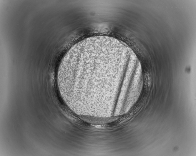 X0000098170564200805221517