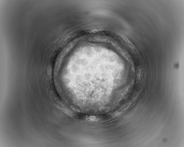 X0000098170565200805221517