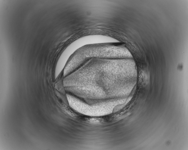 X0000098170566200805221517