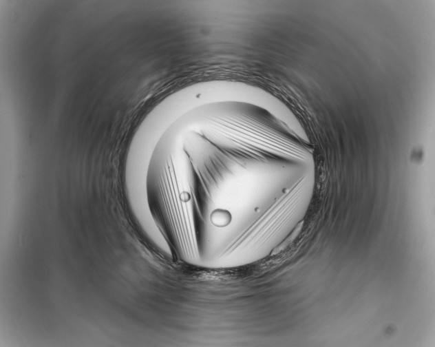 X0000098170568200805221517