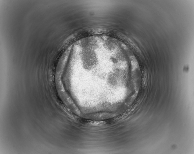 X0000098170569200805221517