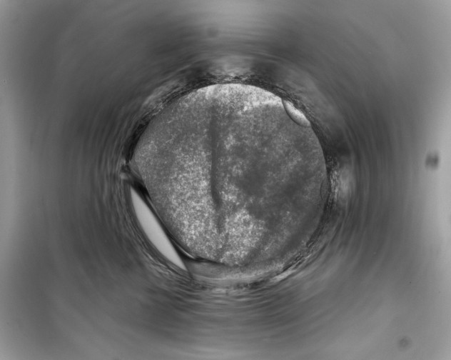 X0000098170570200805221517