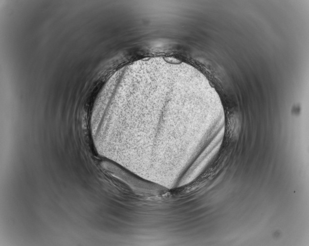 X0000098170571200805221517