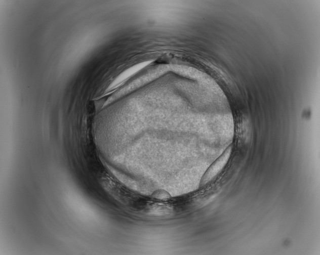 X0000098170572200805221517