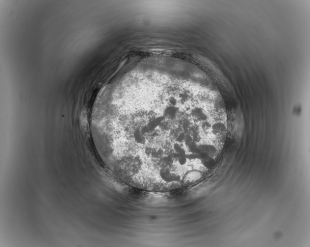 X0000098170573200805221518