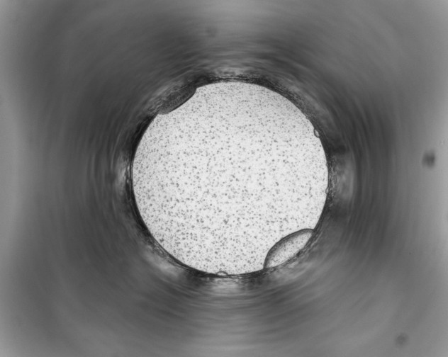 X0000098170574200805221518