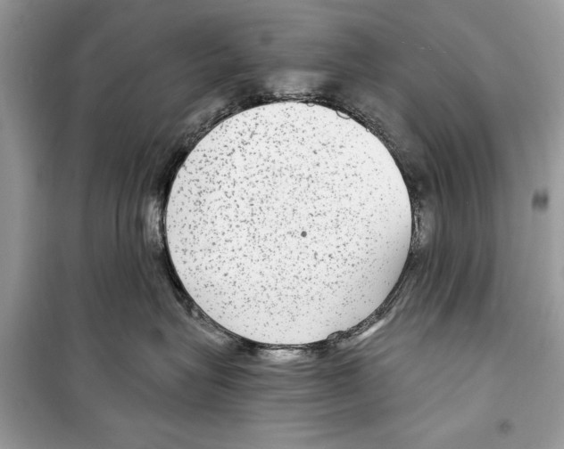 X0000098170575200805221518