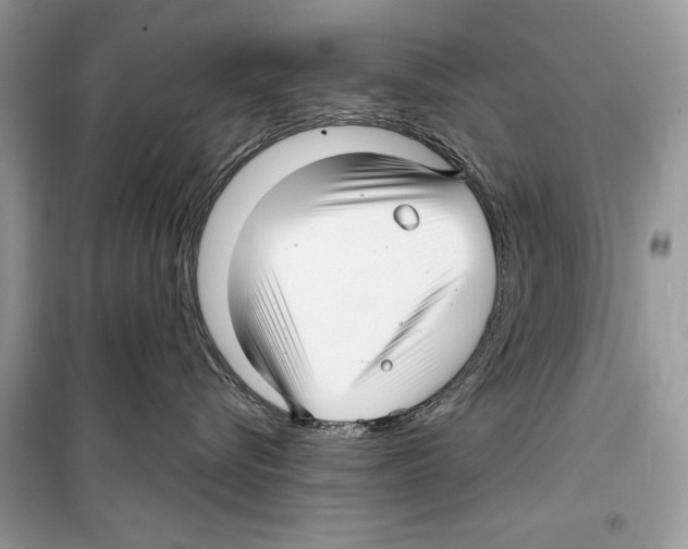 X0000098170576200805221518